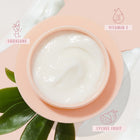 The Daily Face Cream - Easy Set